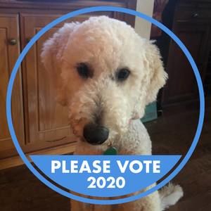 Meet your Posher, Jeanne